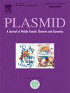 Plasmid