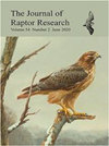 Journal Of Raptor Research