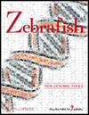 Zebrafish