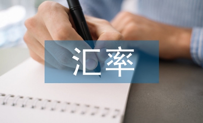 匯率風(fēng)險(xiǎn)論文