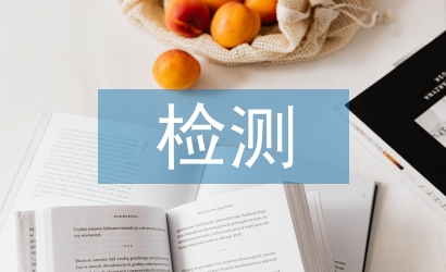 檢測(cè)系統(tǒng)論文