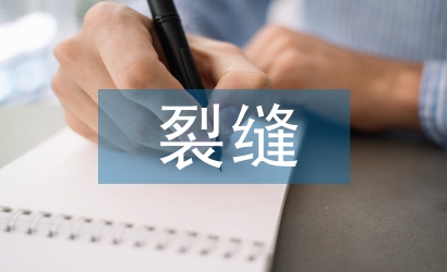 裂縫防治技術論文