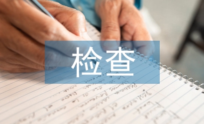 視導(dǎo)檢查匯報(bào)材料