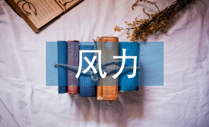 淺談風(fēng)力發(fā)電機(jī)控制系統(tǒng)設(shè)計(jì)