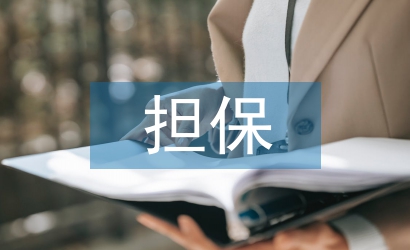 個(gè)人借錢(qián)擔(dān)保書(shū)