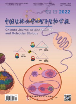 中國生物化學(xué)與分子生物學(xué)報(bào)雜志